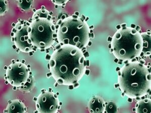الأعراض الشائعة لفيروس كورونا المستجد (كوفيد -19)، أعراض كورونا، الأعراض الشائعة للكورونا،  كورونا
